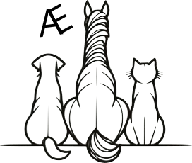 Logo noir