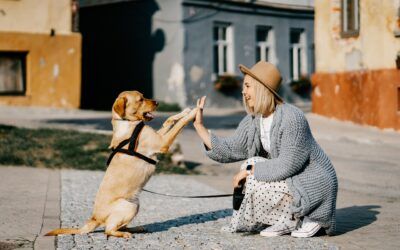 2025 – 5 bonnes résolutions pour nos chiens